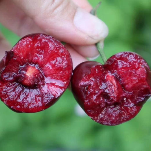 大连大棚俄罗斯8号桃（脆甜 果味浓）2斤/4.6斤 商品图13