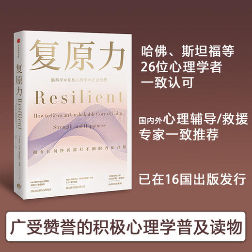 复原力 里克汉森 著  积极心理学 脑科学 收获幸福 面对逆境 心理资本中信出版社图书 正版 商品图0