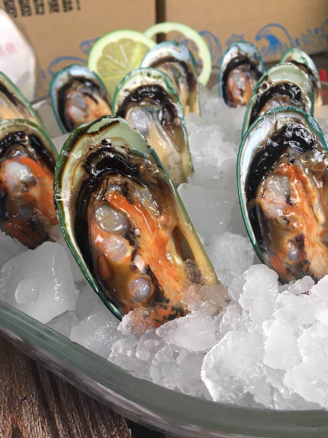 【半壳青口】 野生贝壳类,味道鲜美,营养丰富,补肝益肾,鲜活帮开去一