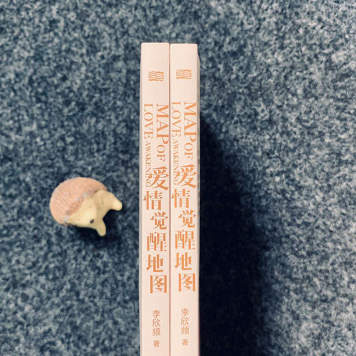 “创意天后“李欣频《爱情觉醒地图》 商品图5