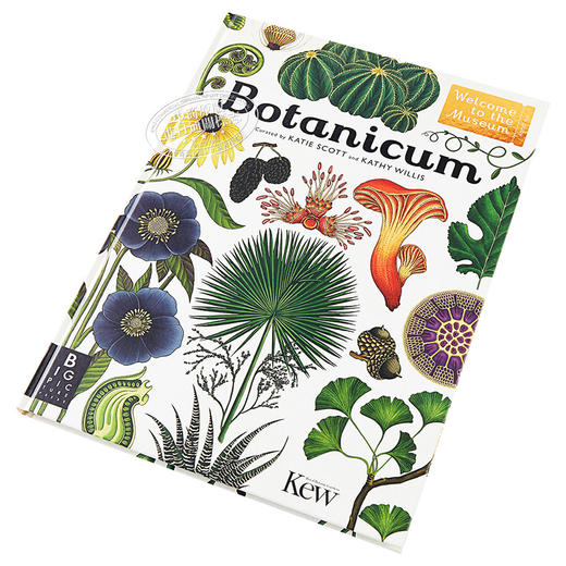 【中商原版】植物博物馆（欢迎来到博物馆系列）英文原版 Botanicum （Welcome to the Museum） 商品图2