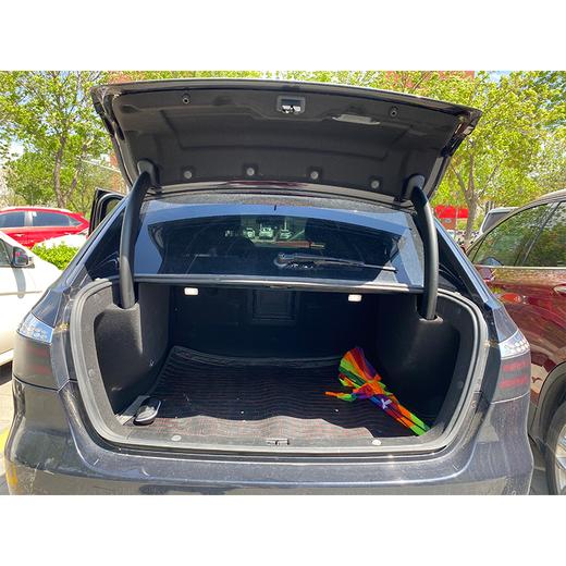 【特价月租-北京】腾势300 时尚版 商品图7