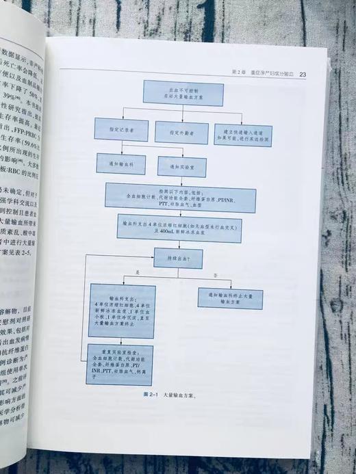 产科重症监护手册（第4版 ）正版书籍 商品图2