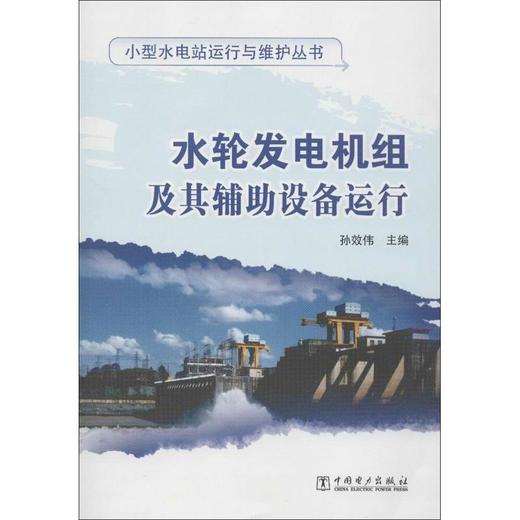 水轮发电机组及其辅助设备运行 商品图0