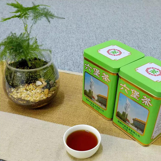 梧州中茶2019年绿罐9131老八中工体罐六堡茶250g 七年陈化一级黑茶散茶 商品图5