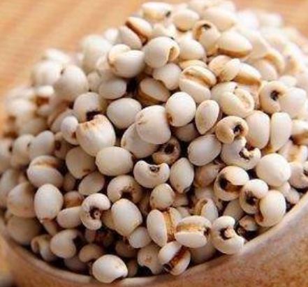 【恩施】DY薏米300g*3包 商品图1