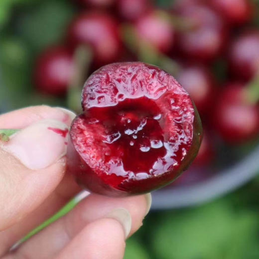 大连大棚俄罗斯8号桃（脆甜 果味浓）2斤/4.6斤 商品图12