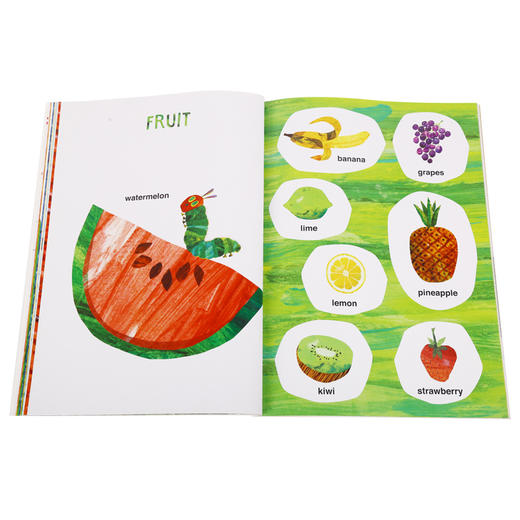 #小彼恩童书【点读版】Eric Carle's book of many things艾瑞卡尔的词典 商品图1