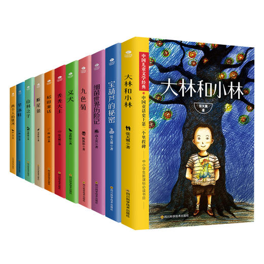 儿童文学经典套装11册  适合中小学生 商品图0