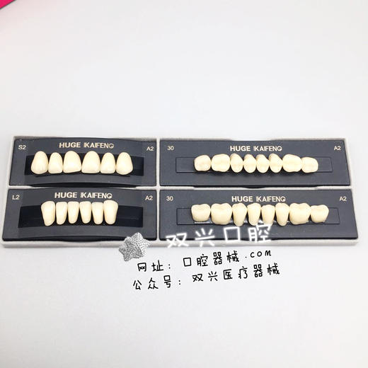 沪鸽凯丰合成树脂牙 中号 A2色 商品图2