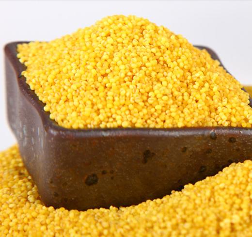 物本源有机小米  400g 商品图2