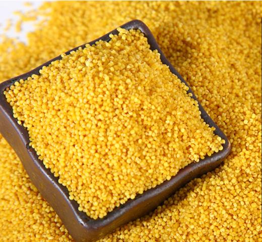 物本源有机小米  400g 商品图1
