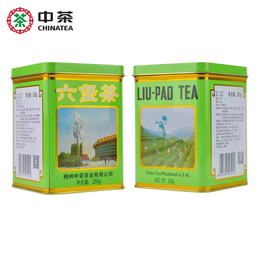 梧州中茶2019年绿罐9131老八中工体罐六堡茶250g 七年陈化一级黑茶散茶 商品图3