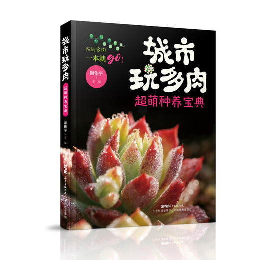 城市玩多肉：超萌种养宝典 商品图0