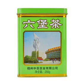 梧州中茶2019年绿罐9131老八中工体罐六堡茶250g 七年陈化一级黑茶散茶