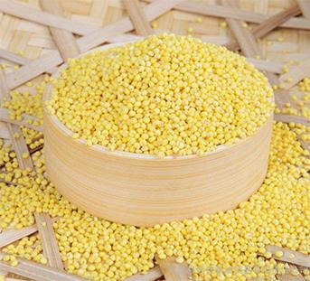 【恩施】DY大黄米350g*3包 商品图1