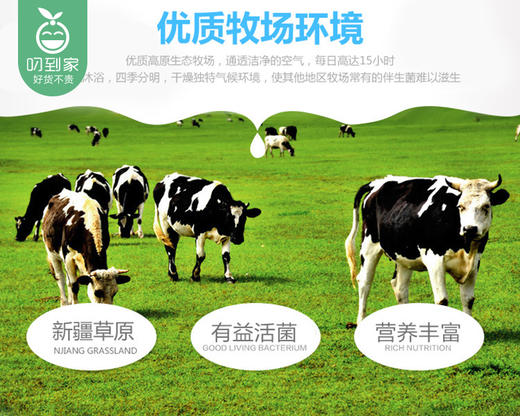 新疆天润Hello酸奶（180g*12杯/箱）生产日期：4月18日 保质期：冷藏28天 商品图2