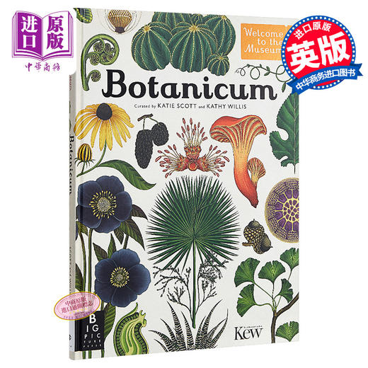 【中商原版】植物博物馆（欢迎来到博物馆系列）英文原版 Botanicum （Welcome to the Museum） 商品图0