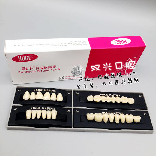 沪鸽凯丰合成树脂牙 中号 A2色 商品图1
