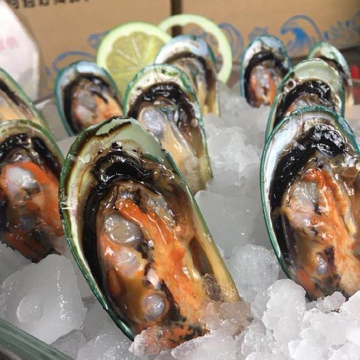 【半壳青口】 野生贝壳类，味道鲜美，营养丰富，鲜活帮开去一半壳 商品图1