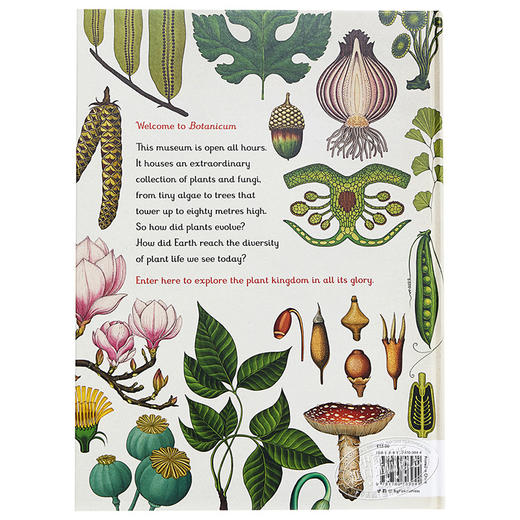 【中商原版】植物博物馆（欢迎来到博物馆系列）英文原版 Botanicum （Welcome to the Museum） 商品图1