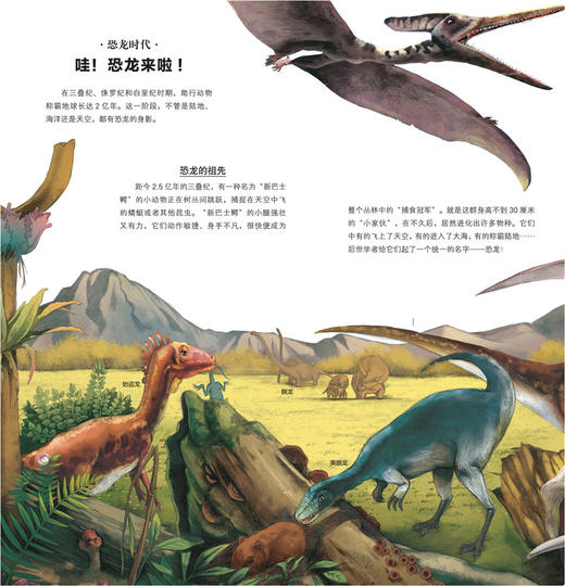 《地图上的全景世界史》套装2册 “百家讲坛”支持人魏新编写 商品图9