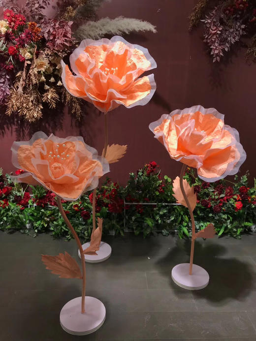 皱纹花🌸【运费自理】 商品图2