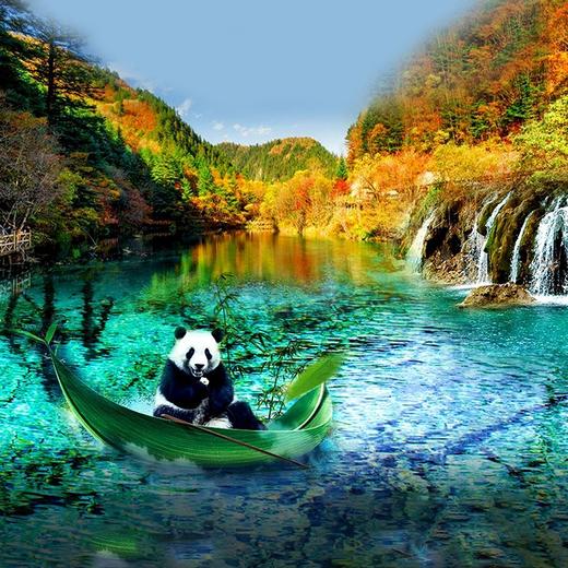 经典三日九寨沟+黄龙+都江堰/大熊猫·纯玩3日游·可升级航空舒适保姆车（成都市三环内包接+纯玩无购物·天天发团） 商品图3