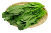 菠菜 商品缩略图0
