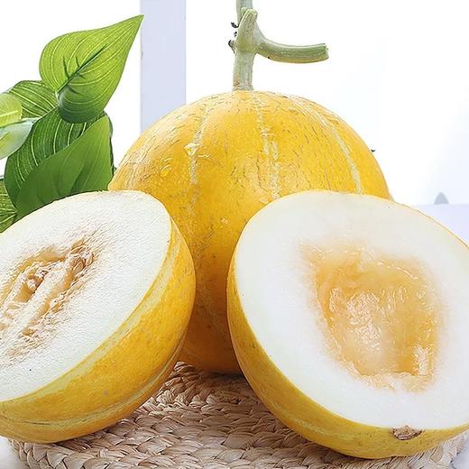 瓜中劳斯莱斯风雷瓜28元一颗免费切盒