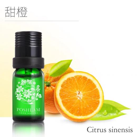1F宝琪兰甜橙精油 商品图0