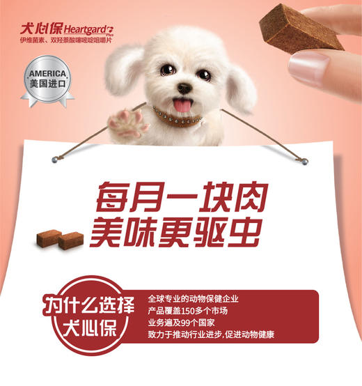 犬心保狗狗体内驱虫药6片/盒 商品图2