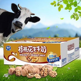 银桥利乐枕核桃花生牛奶220g*16