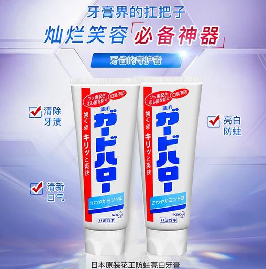 【三支装】日本花王新品KAO牙膏薄荷香165g 祛牙渍清新口气防蛀去口臭-W仓 商品图0