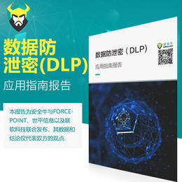 《数据防泄密DLP应用指南》