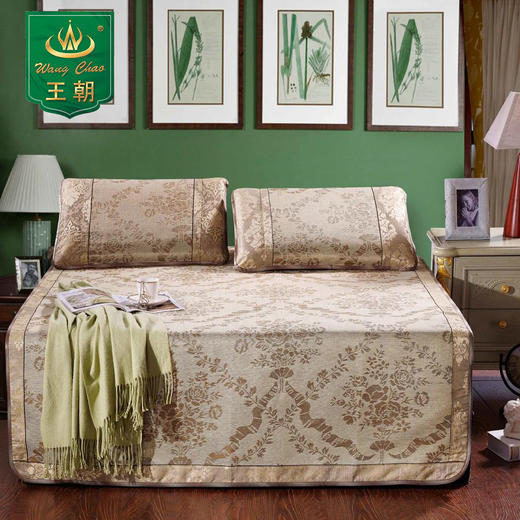 王朝清凉风冰丝席 商品图0