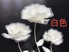 皱纹花🌸【运费自理】 商品缩略图9