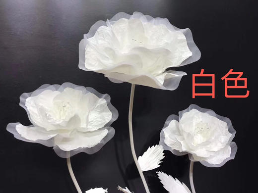 皱纹花🌸【运费自理】 商品图9