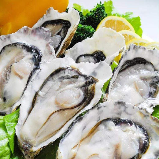 小强蚝业3级乳山生蚝2只