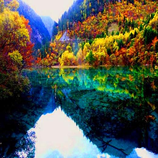 经典三日九寨沟+黄龙+都江堰/大熊猫·纯玩3日游·可升级航空舒适保姆车（成都市三环内包接+纯玩无购物·天天发团） 商品图5