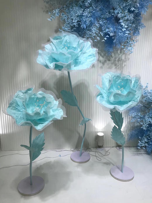 皱纹花🌸【运费自理】 商品图1