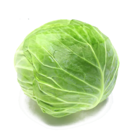 甘蓝