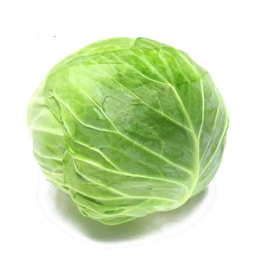 甘蓝 商品图0