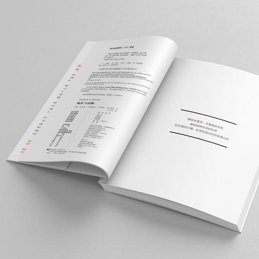 疯狂与清醒：当脑科学家成为精神疾病患者 商品图3