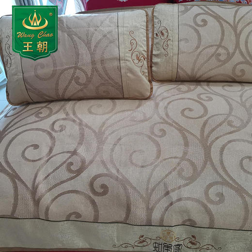 王朝清凉风知本家冰丝席 商品图0