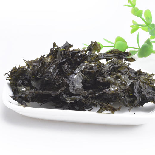 海洋魅力紫菜 商品图1