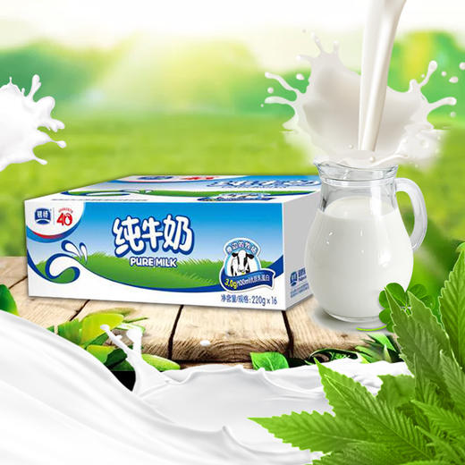 银桥纯牛奶（纸袋）220g*16袋 商品图0