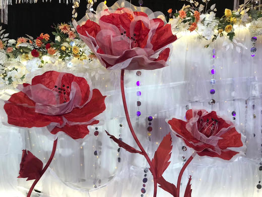 皱纹花🌸【运费自理】 商品图7