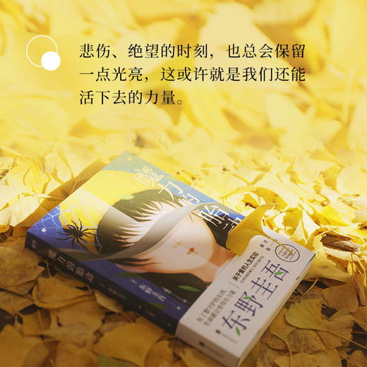 魔力的胎动  东野圭吾继白夜行解忧杂货店嫌疑人x的献身新参者幻夜后的新日本悬疑推理恐怖惊悚小说书籍长篇 商品图2