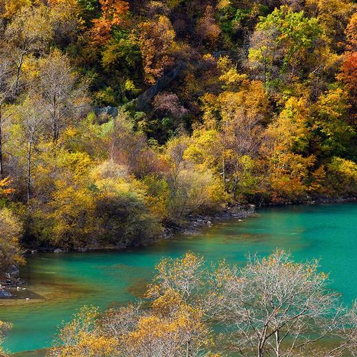 经典三日九寨沟+黄龙+都江堰/大熊猫·纯玩3日游·可升级航空舒适保姆车（成都市三环内包接+纯玩无购物·天天发团） 商品图6